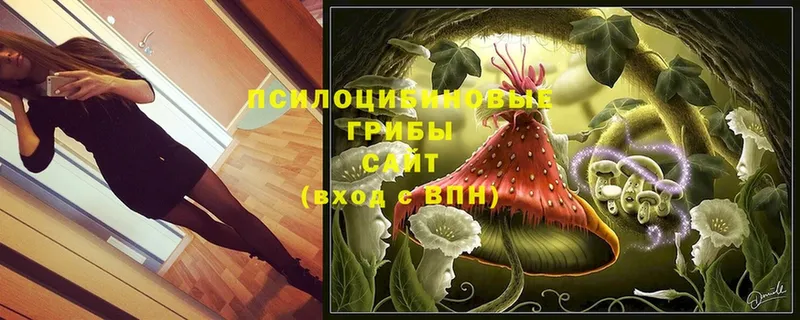 OMG ONION  Избербаш  Псилоцибиновые грибы Magic Shrooms 